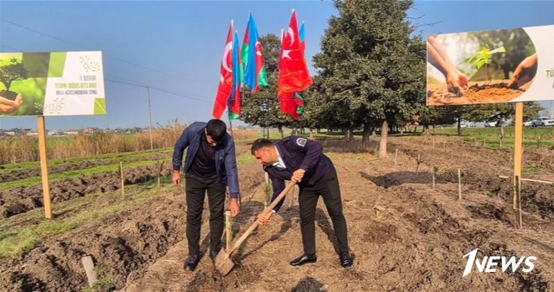 В рамках акции Дыхание будущему! за один день высажено 111 111 деревьев ФОТО