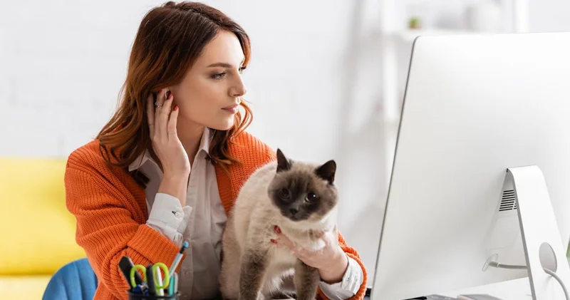 İnsanın rəğbətini necə tez qazanmaq olar: Elmi olaraq sübut edilmiş 9 addım