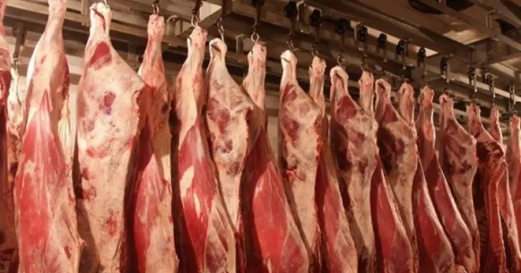 Bakıda anbarda 2 ton yararsız ət tapıldı, 6 nəfər saxlanılıdı VİDEO