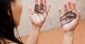 Saçı quruyub tökülənlər qaraciyərini yoxlatsın