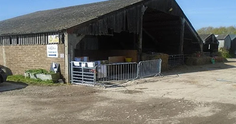 Контактный зоопарк в Англии оказался в центре скандала