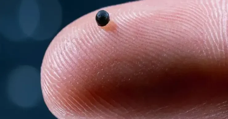 Damarlarla müəyyən toxumalara dərman çatdıra bilən mikrorobotlar uğurla sınaqdan keçirildi