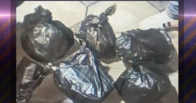 Baş İdarə əməliyyat keçirib, 6 nəfər saxlanılıb, 21 kq marixuana aşkarlanıb