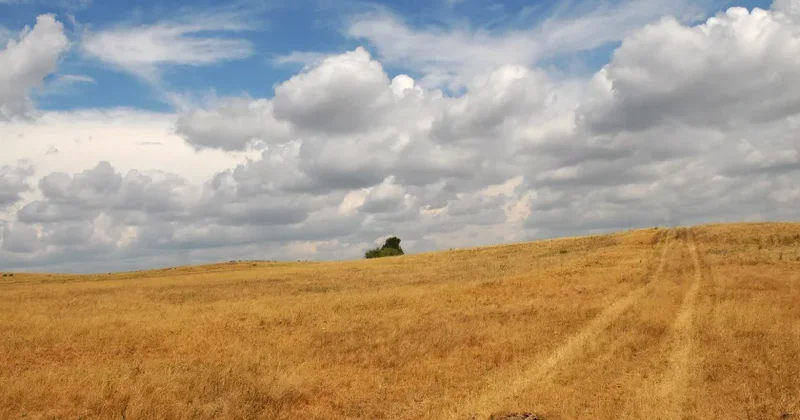 Qazaxıstanda otlaq sahələri kəndlilərə qaytarılacaq