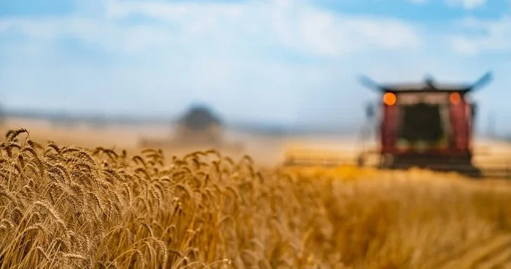 В Азербайджане в текущем году зафиксирован рост производства сельхозпродукции