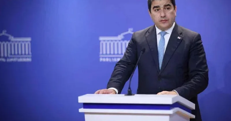 Gürcüstan parlamenti Almaniya XİN dən izahat tələb edib