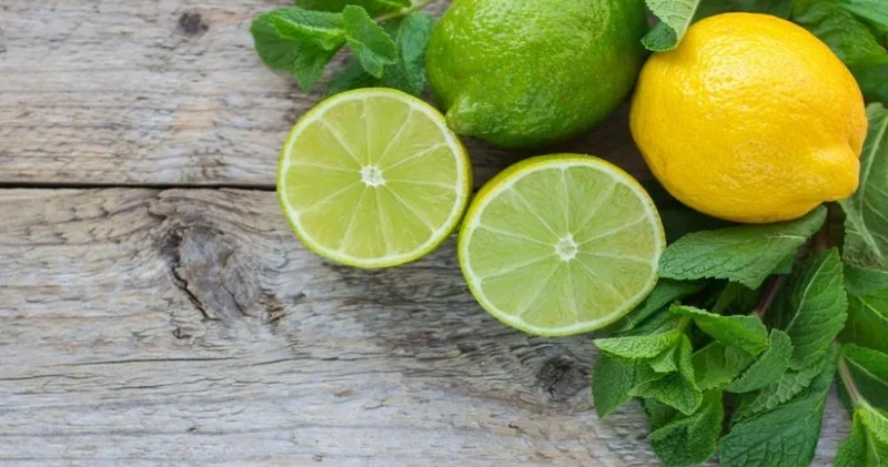 Azərbaycan 2 ölkədən limon və laym alışını kəskin artırıb