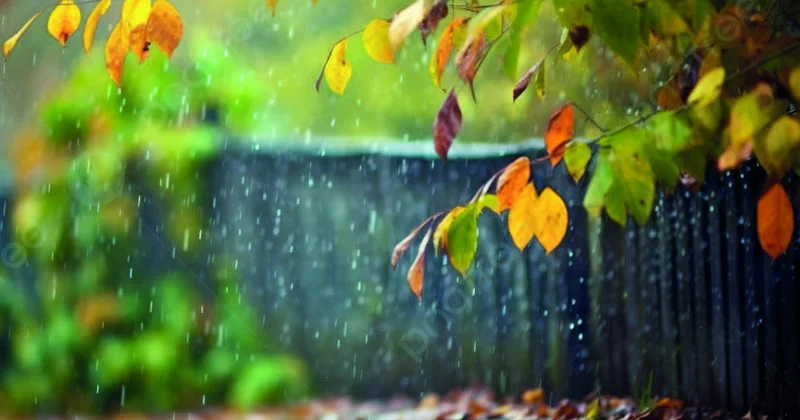 Bəzi yerlərdə duman, arabir yağış...