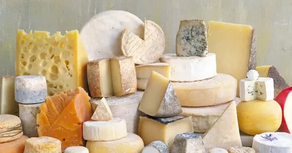 Üzərindən kif yığılmış pendiri yemək olar?