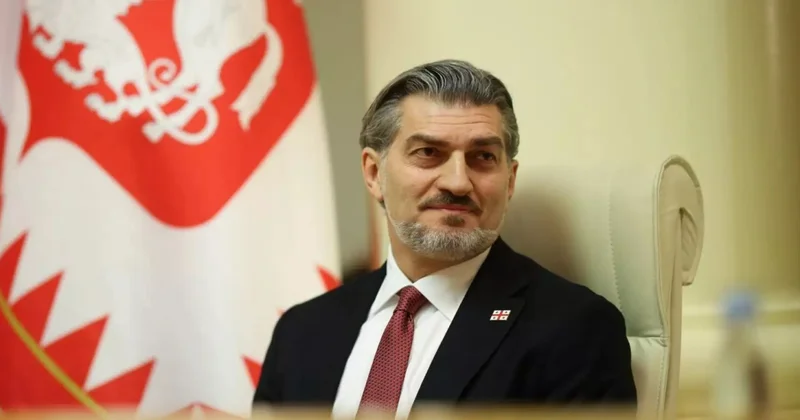 Что президент Грузии сказал Мирзояну про Азербайджан?