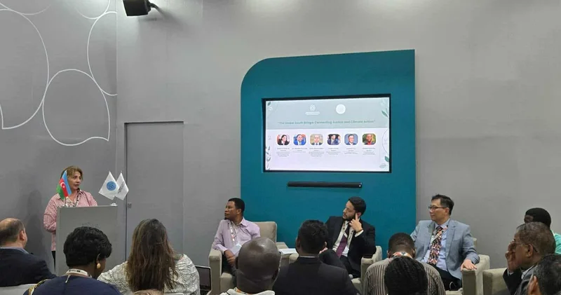 Qlobal Cənub QHT Platforması COP30 da yan tədbir keçirib