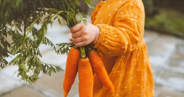 Hər gün yerkökü yesəniz, nə olar?