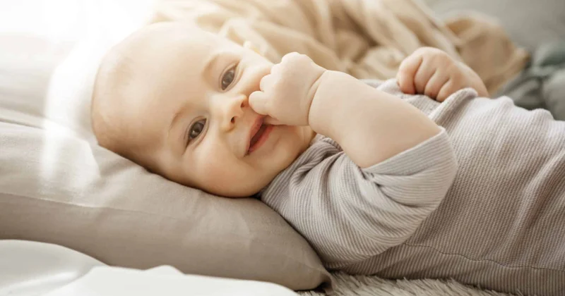 Naxçıvanda bu il uşaqlara ən çox qoyulan adlar açıqlanıb