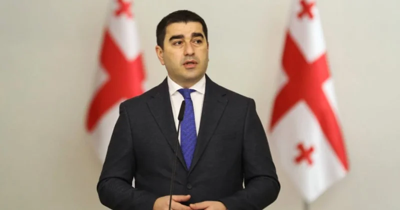 Папуашвили призвал Азербайджан и Армению укреплять друг друга