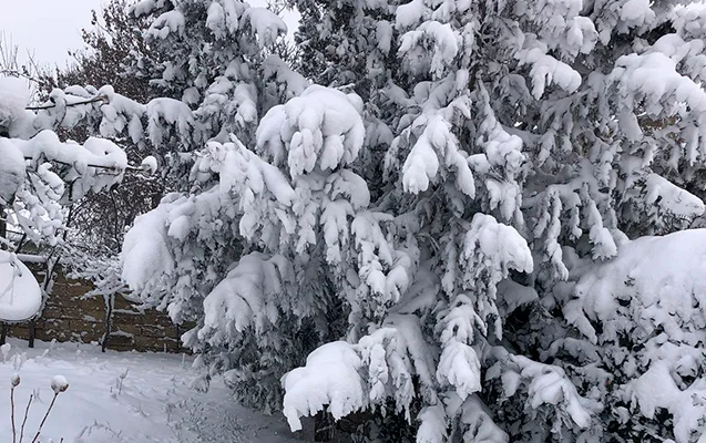 Dağlarda 14° şaxta var Fotolar