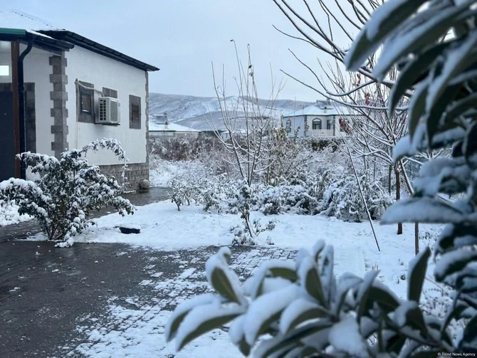 Qarlı Ağalıdan maraqlı fotolar Xəbər saytı Son xəbərlər və Hadisələr