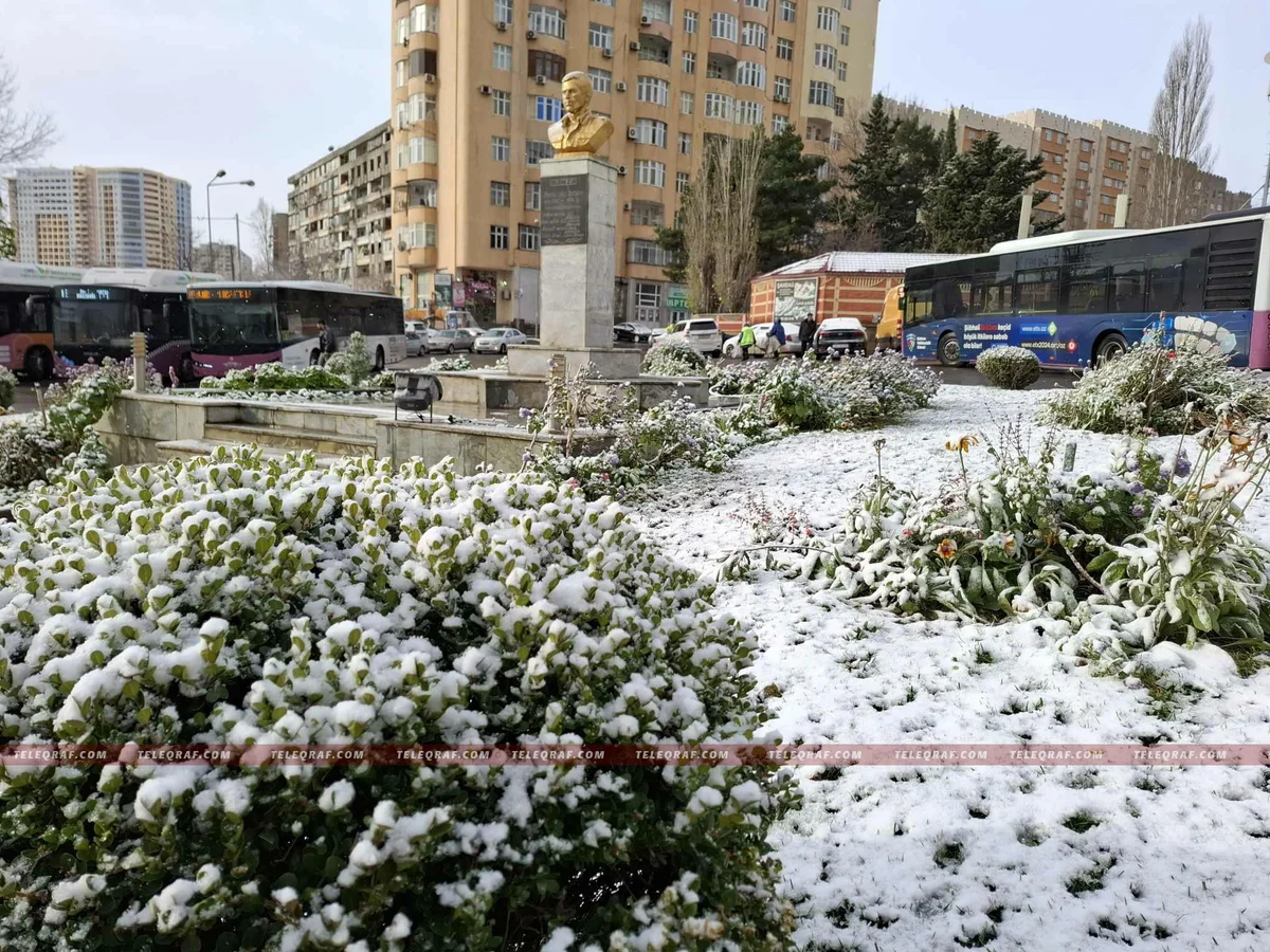 Bakıda ilk qarla təmas... Foto