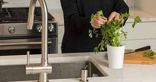 Mətbəx tezgahları ilə əlaqəli ölümcül bir xəstəliklə bağlı xəbərdarlıq...