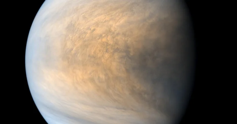 Venera niyə əks istiqamətə fırlanır?