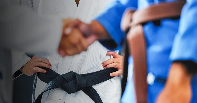 Наши каратисты успешно выступили на чемпионате мира Minval Politika