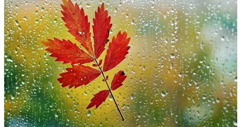 Yağış, leysan, qar Sabahın havası