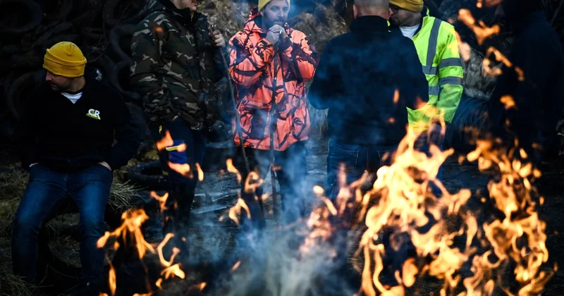 Фермеры протестуют по всему миру объектив