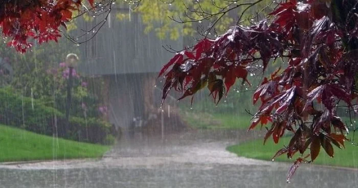 FAKTİKİ HAVA: Bakıda və Abşeron yarımadasının bəzi ərazilərində sulu qar yağır