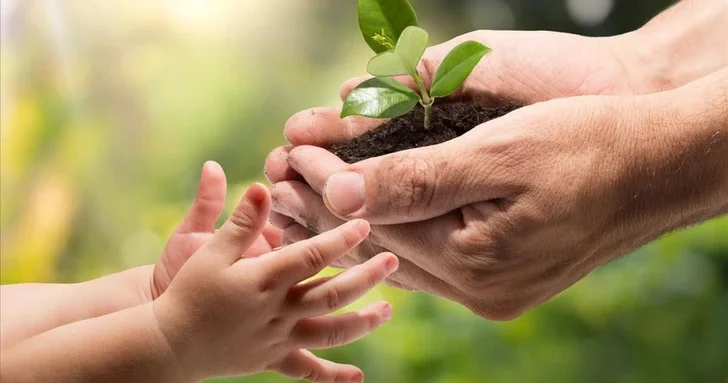 Экология Баку под давлением: почему жители столицы всё чаще жалуются на самочувствие?