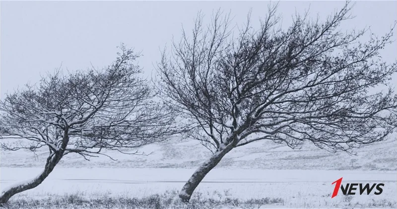 В связи с ветреной погодой объявлено желтое предупреждение