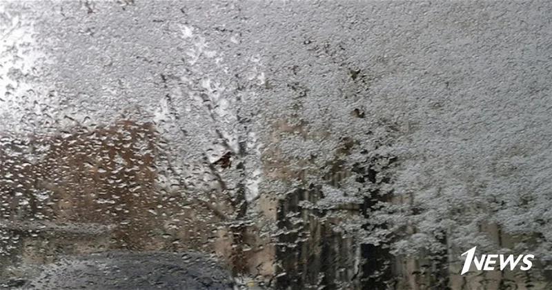 Фактическая погода: Мокрый снег и ветер