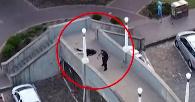 Sidneydəki terroru törədənlər ata və oğuldur Yeni təfərrüatlar