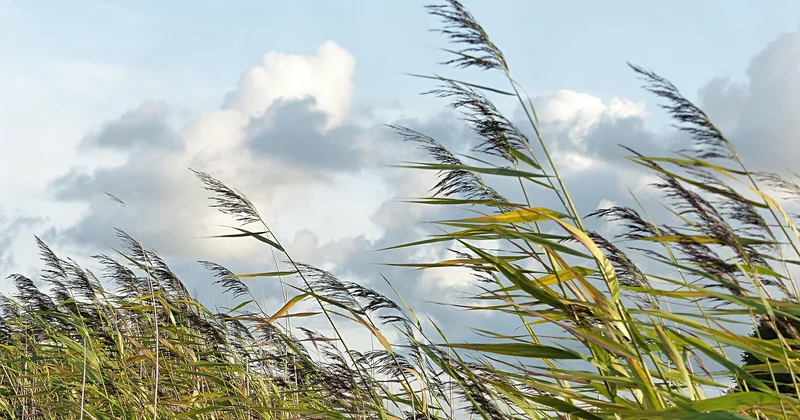 Шквалистый ветер погрузил регионы Армении во тьму Minval Politika