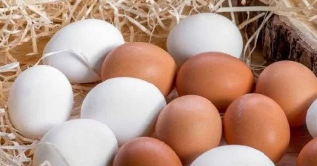 Azərbaycanda yumurta da bahalaşdı VİDEO