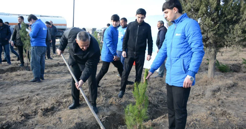Tərtərdə “100 gün 100 təşəbbüs” aksiyası çərçivəsində 100 ədəd Eldar şamı əkilib