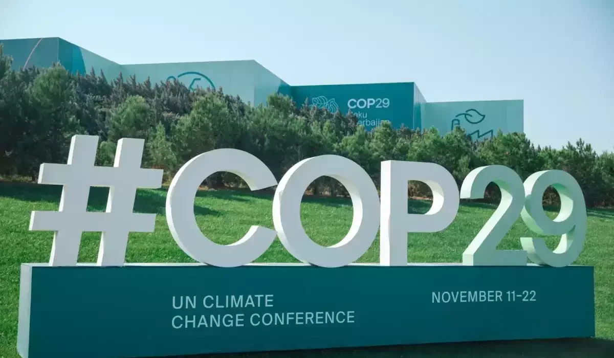 COP29dakı könüllülərə bu qədər pul veriləcək