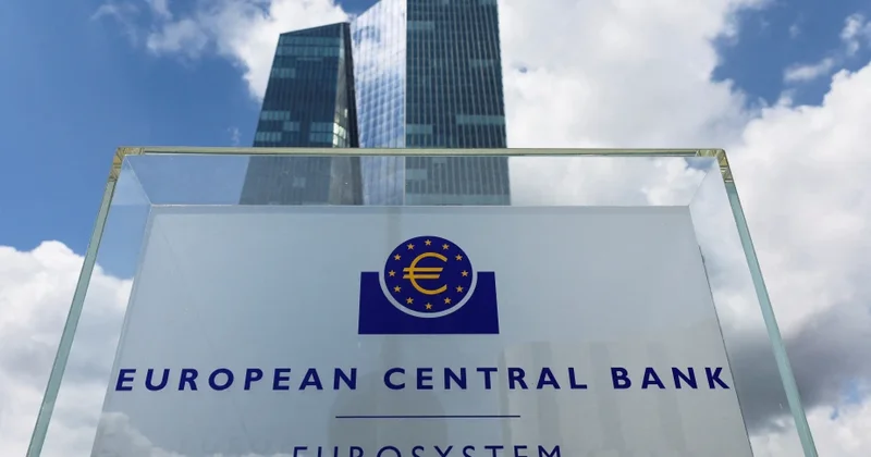 Avropa Mərkəzi Bankının vitse prezidentindən AÇIQLAMA