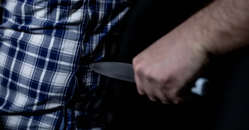 В Лянкяране мужчина ранил брата ножом