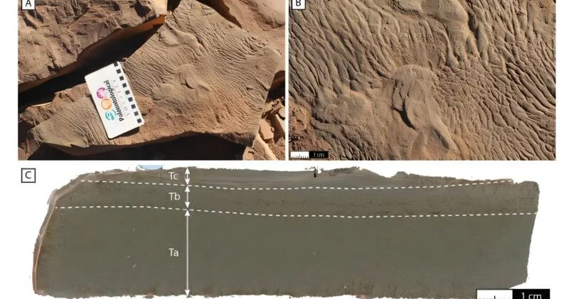 Признаки древней жизни обнаружили в неожиданном месте