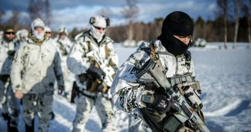 Шесть стран направили своих военных в Гренландию