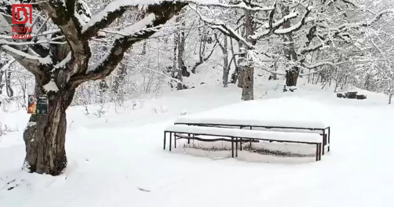 Şahdağda gözəl qış mənzərəsi FOTO