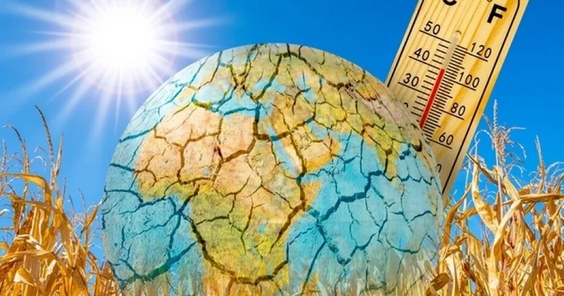 Son üç il 176 ilin ən isti dövrü olub