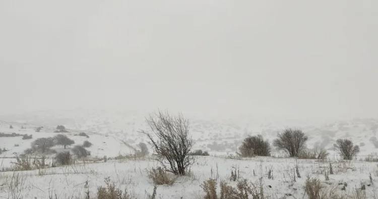 Ölkə ərazisinə 41 sm qar yağıb