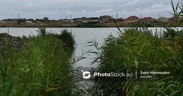 Незаконное осушение озер на Абшероне создает угрозу затопления жилых территорий