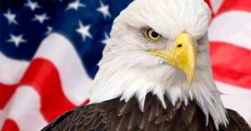 Amerika bu anı əldən verməməlidir...