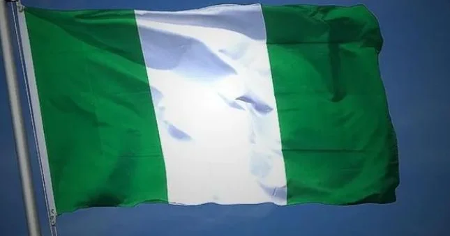 Nigeriyadan terrorçulara ağır zərbə 55 nəfər zərərsizləşdirildi