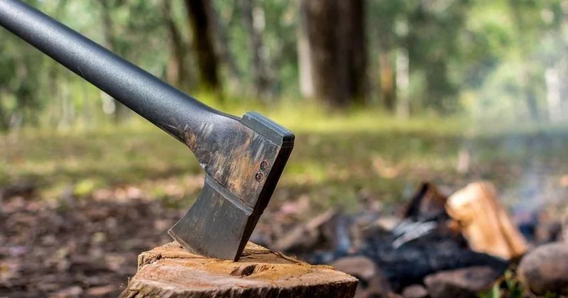 Oğuzda ağac kəsilməsinə görə cinayət işi başlanıb