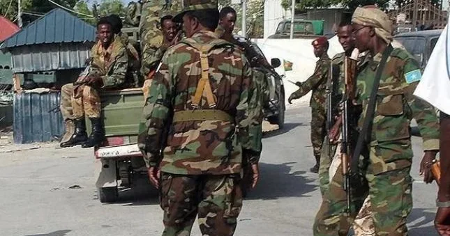 “Əl Şəbab”a qarşı növbəti əməliyyat 30 dan çox terrorçu zərərsizləşdirildi