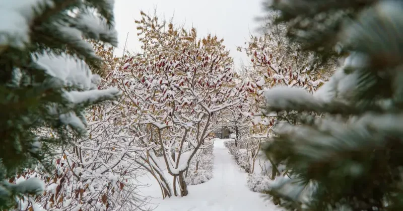 32 и снегопад: холодная волна накроет крупные города Казахстана