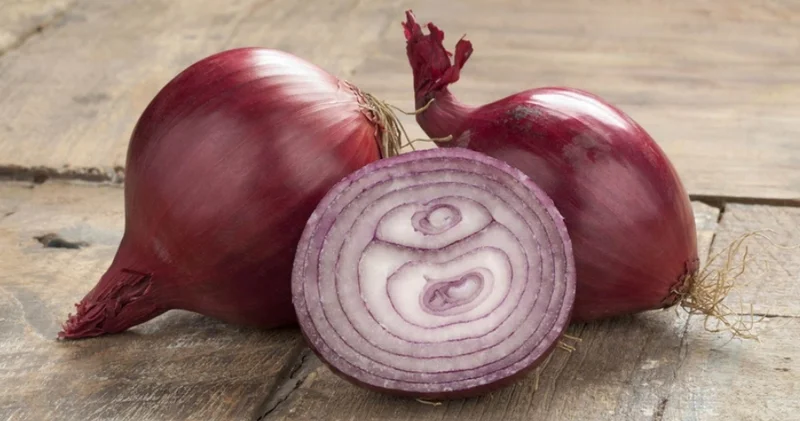 Azərbaycan Belarusa soğan satışını 36 dəfə artırıb