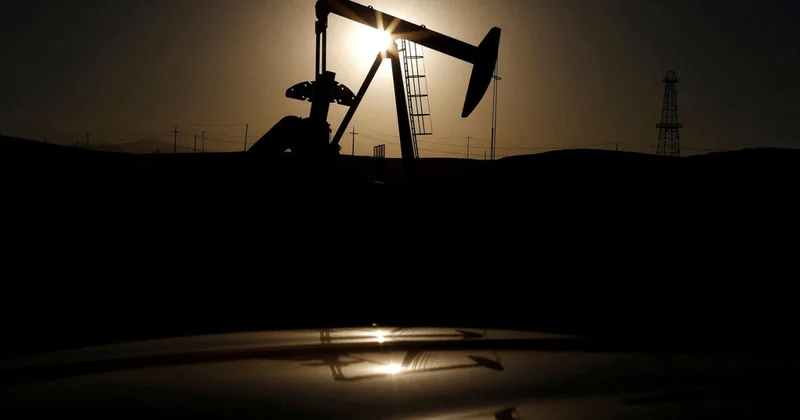 Запасы нефти в США выросли